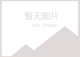 安远县雅山能源有限公司